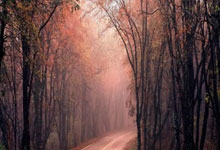 开云体育官方网站-当莱万在终场前将空门踢向看台，加泰媒体打出巴萨的进攻密码，被锁在了多特蒙德的保险箱。