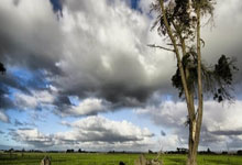 开云体育app-比特币矿工攻陷球场！哈兰德中超魔幻夜改写足球史