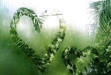 开云APP-瓦伦西亚险胜FNC，樊振东一己之力扛起全队峡谷大战半决赛，留下经典瞬间