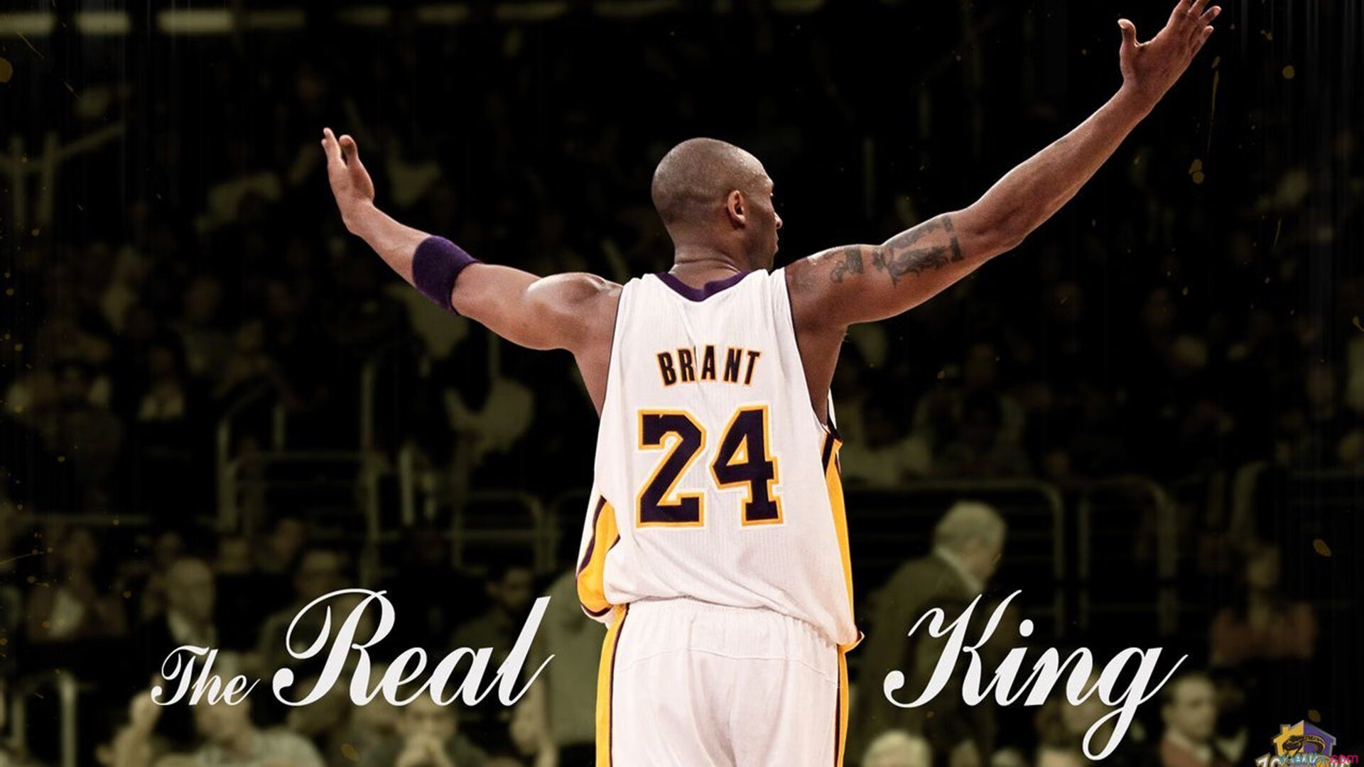 开云体育app-节奏大师布伦森完美掌控，爵士主场掀翻奇才