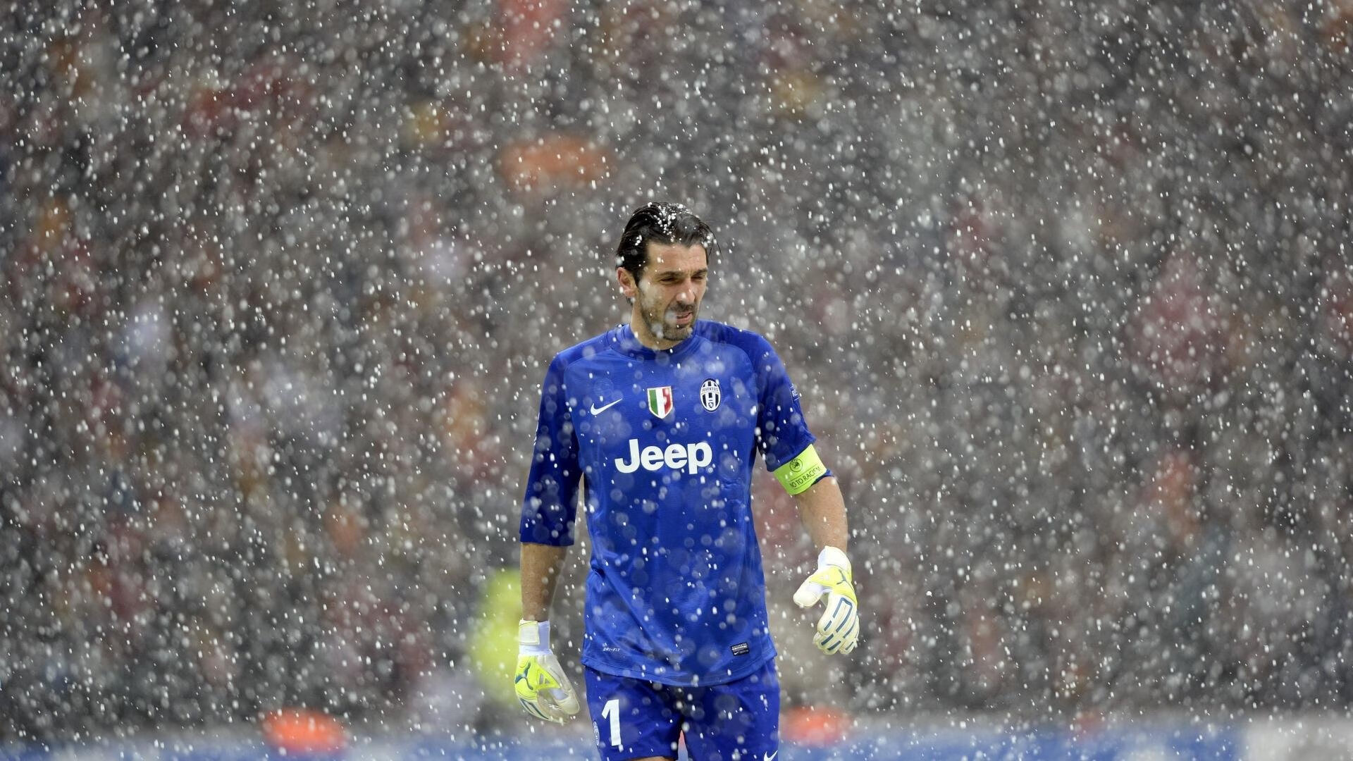 独一时刻，公牛单节风暴撕裂森林狼，英格拉姆全能统治诠释唯一性